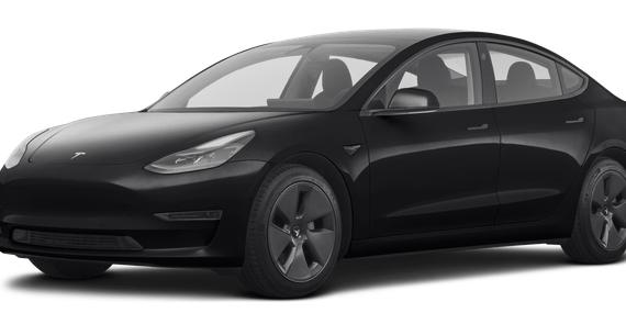 TESLA MODEL 3 2021 5YJ3E1EB8MF983161 image